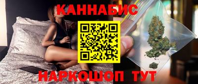 индика Лесосибирск