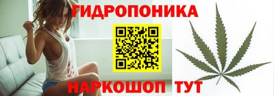 индика Лесосибирск