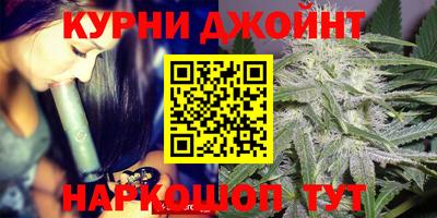 индика Лесосибирск