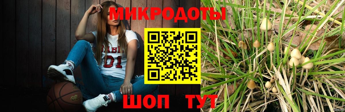 Тихорецк  Галлюциногенные грибы MAGIC MUSHROOMS  Псилоцибиновые грибы Cubensis  Вход с VPN 