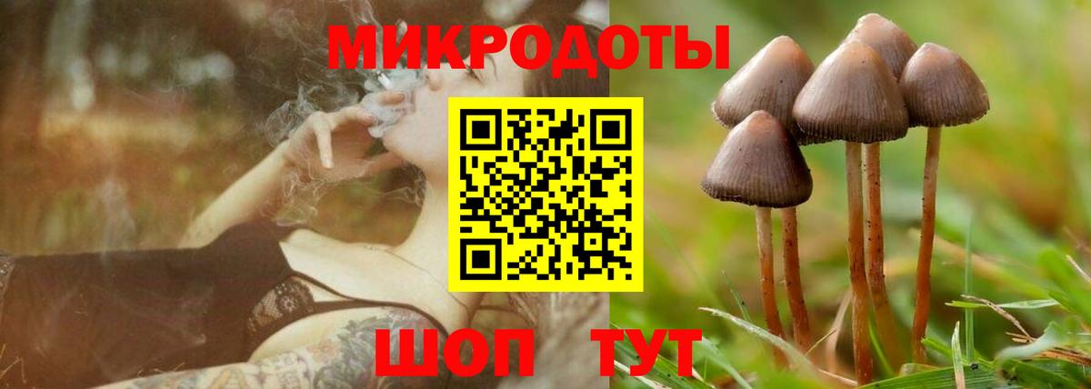 Псилоцибиновые грибы мицелий Тихорецк